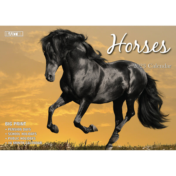 Horses – 2023 Rectangle Wall Calendar 16 Months Planner New Year Christmas Gift