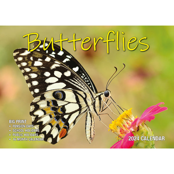 Butterflies - 2024 Rectangle Wall Calendar 16 Months Colorful Butterfly Photos